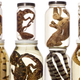 Illustration for article titled Scientists Have Invented Craigslist For Shark Livers